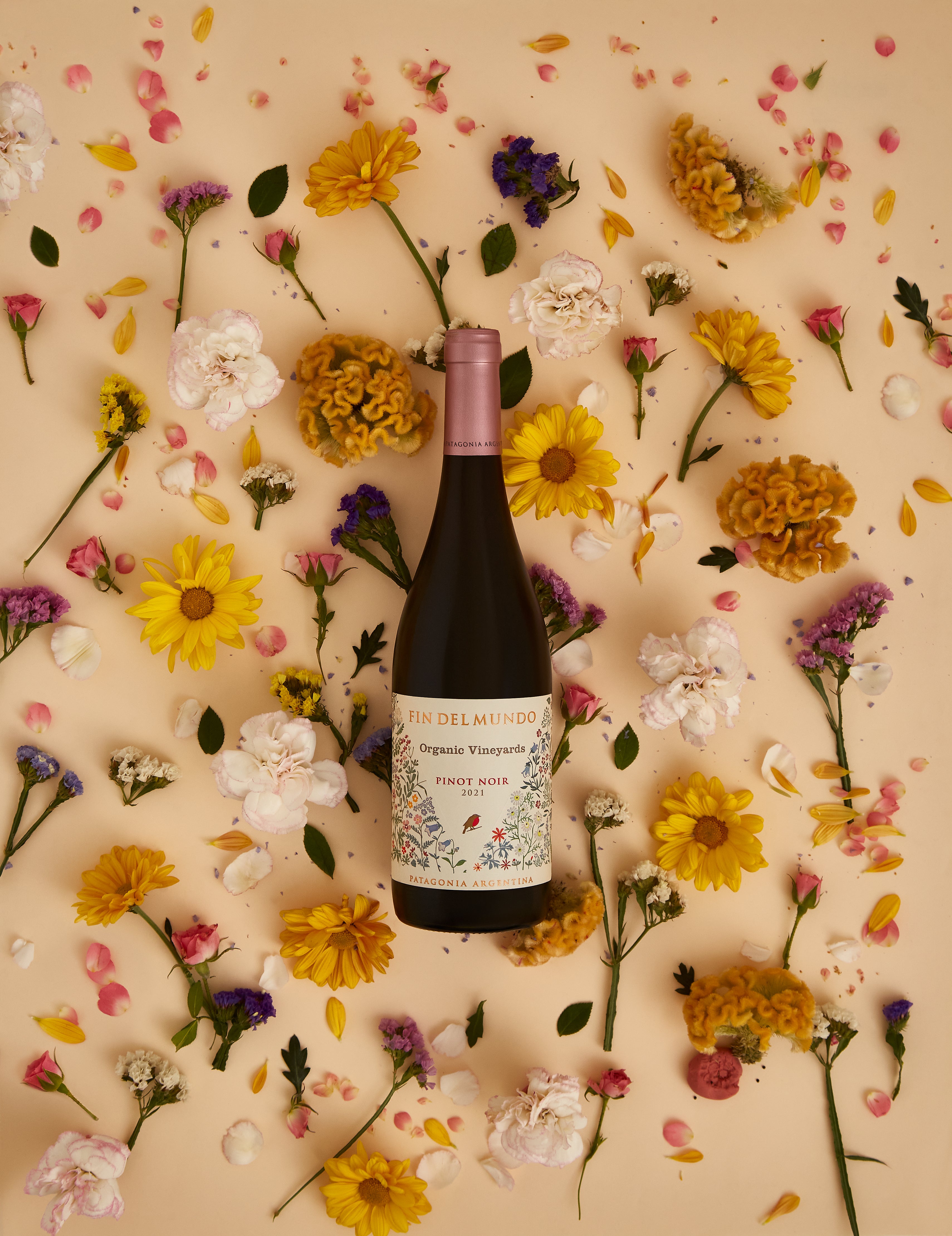 Vino tinto orgánico Pinot Noir FIN DEL MUNDO